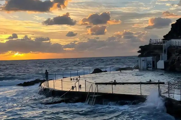 专业人士/自由职业者